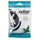 Pastillas Xylitol sabor Menta bolsa 60 gr