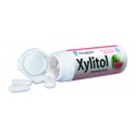 Chicles Xylitol Miradent sabor Sandia bote 30 gr Caja 12 botes